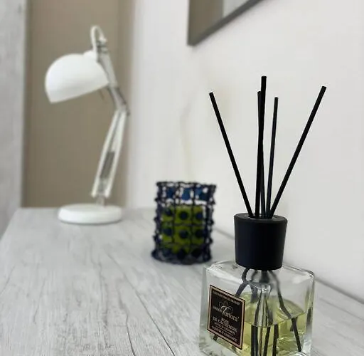 A Due Passi Da Piazza Cavalli *